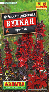 Лобелия Вулкан красная купить