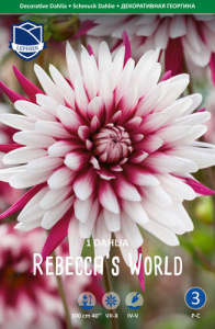 Георгина декоративная Rebecca's World /1шт купить