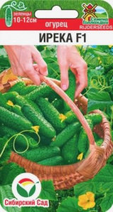 Огурец Ирека F1 купить