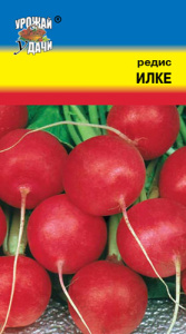 Редис Илке  купить