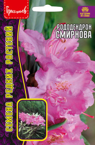 Рододендрон Смирнова купить