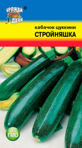 Кабачок Стройняшка  купить