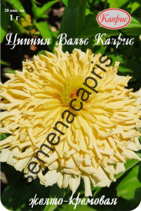Цинния Вальс Каприс Желто-кремовая/1шт купить