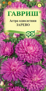 Астра Зарево карликовая купить