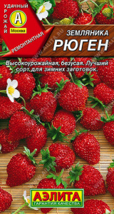 Земляника Рюген купить