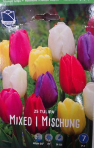 Смесь тюльпанов триумф 2 (1х25шт) купить
