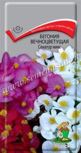 Бегония Сенатор микс вечноцветущая  купить