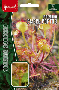 Росянка Смесь Сортов  (Хищник) купить