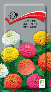 Цинния Лиллипут, смесь  купить