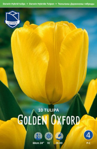 Тюльпан дарвинов гибрид "Golden Oxford" (1х10шт) купить