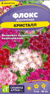 Флокс Кристалл друммонда купить