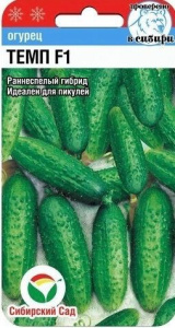 Огурец Темп F1 купить