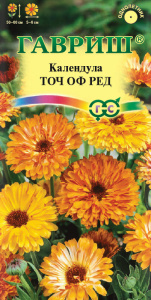 Календула Точ оф Ред  купить
