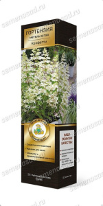 Гортензия Конфетти метельчатая ЦК купить