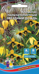 Клематис Звездный Дождь пильчатолистный  купить