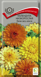 Календула низкорослая Пигми смесь окрасок купить