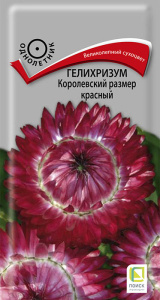 Гелихризум Королевский размер красный купить