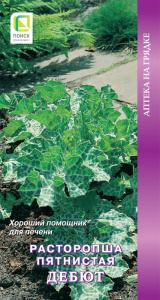 Расторопша пятнистая Дебют купить