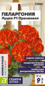 Пеларгония Луция F1 оранжевая купить