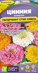 Цинния Пеперминт Стик купить