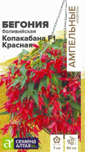 Бегония Копакабана F1 Красная боливийская Ампельные шедевры купить