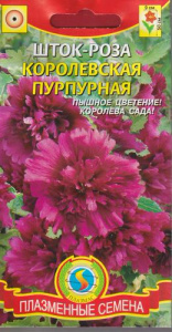 Шток-роза Королевская Пурпурная  купить