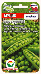 Горох Муцио  купить