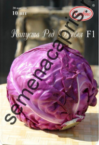 Капуста (к/к) Ред Джевел F1 /1шт купить