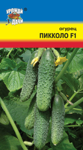 Огурец Пикколо F1 купить