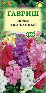 Левкой Изысканная Смесь купить