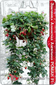 Земляника Роман F1 ананасная ампельная  купить