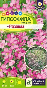 Гипсофила Изящная Розовая купить