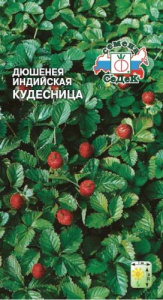 Земляника Дюшинея декоративная индийская кудесница  купить
