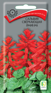 Сальвия сверкающая Дварф ред купить