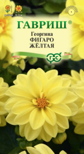 Георгина Фигаро желтая  купить