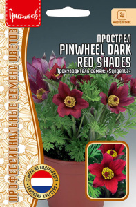 Прострел Pinwheel Dark Red Shades купить