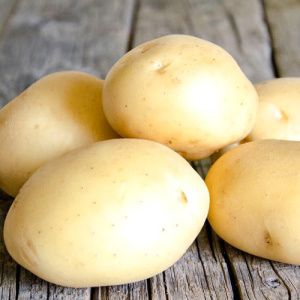 Картофель семенной Лидер/10 купить