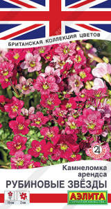 Камнеломка Рубиновые звезды Британская коллекция цветов купить