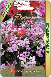 Пеларгония плющелистная ампельная Зоммертайм F1 купить