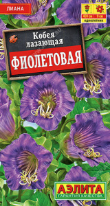 Кобея Фиолетовая лазающая купить