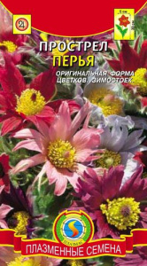 Прострел Перья  купить