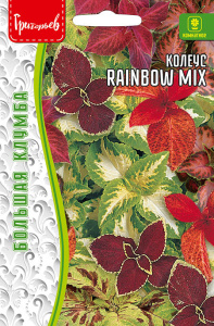 Колеус Радуга Микс (Rainbow Mix) купить