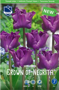 Тюльпан Краун оф Негрита /10шт купить