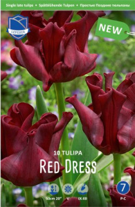 Тюльпан простой поздний "Red Dress" (1х10шт) купить