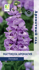 Маттиола Аромагия Лиловая купить