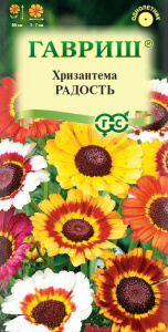 Хризантема Радость  купить