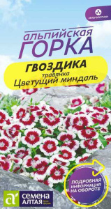 Гвоздика травянка Цветущий миндаль купить