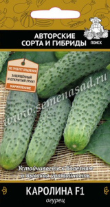 Огурец Каролина F1 купить