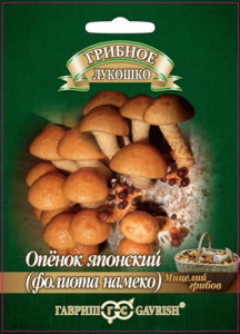 Опенок японский Фолиото намеко на древесной палочке  купить