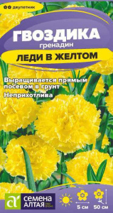 Гвоздика гренадин Леди в желтом купить